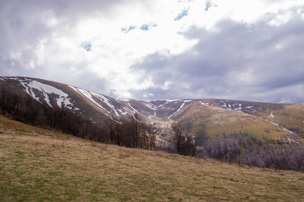 Весна в Карпатах