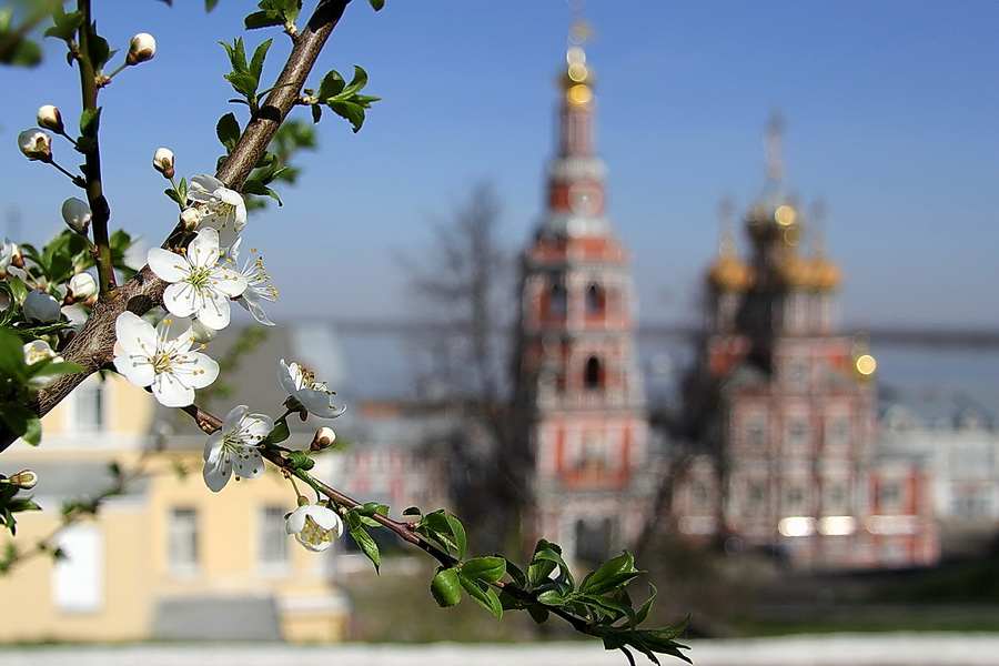 Солнечный день