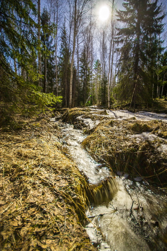 лесной ручейй