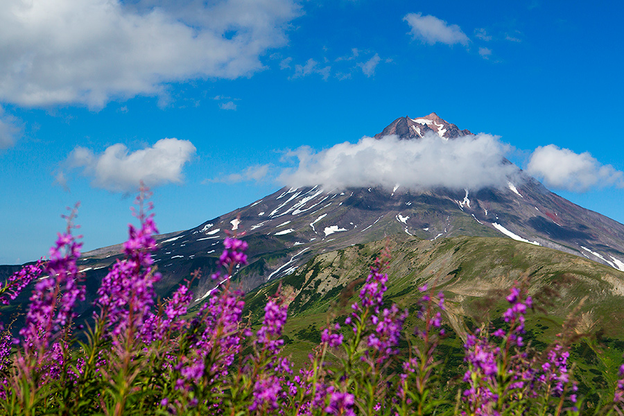 Летняя Камчатка