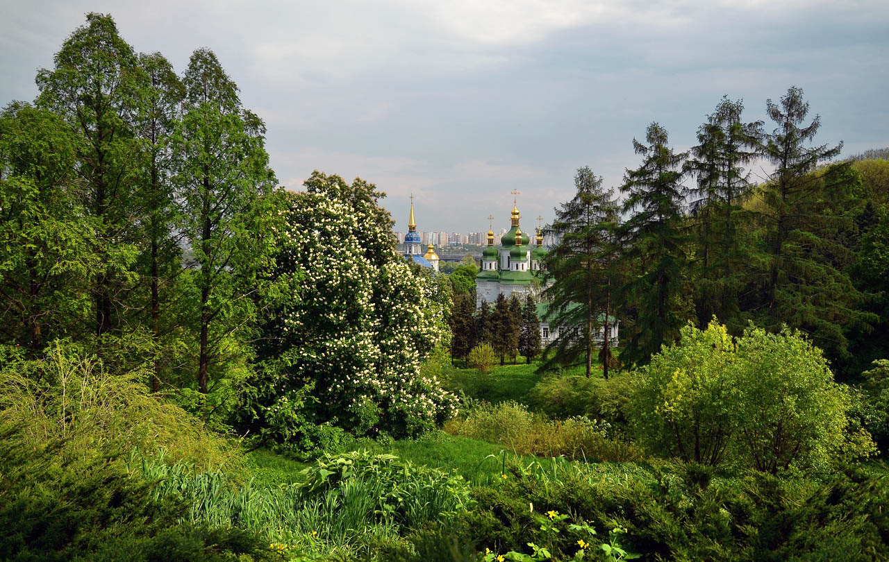 Весенний парк