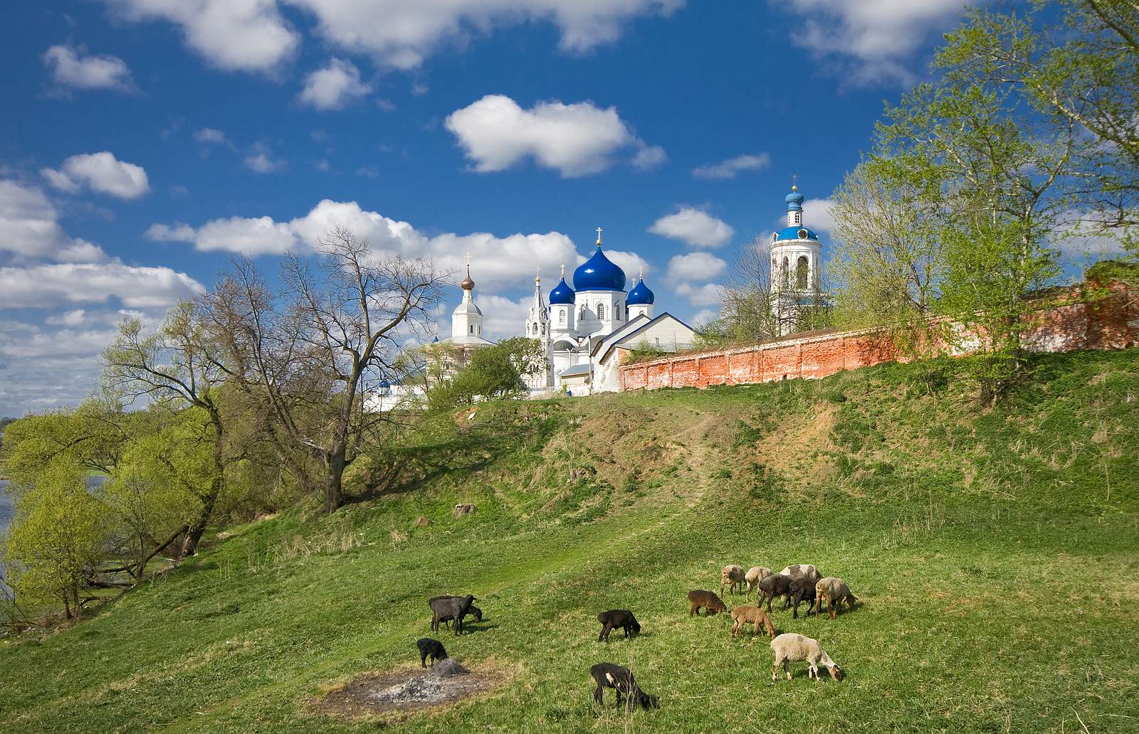 Весеннее утро