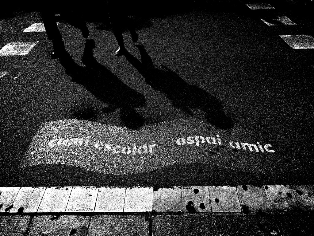 cami escolar espai amic