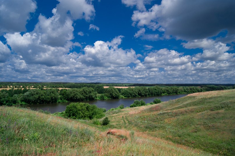 Река Сосна