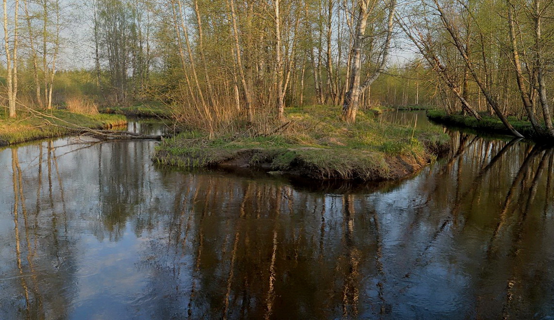 Возрождение