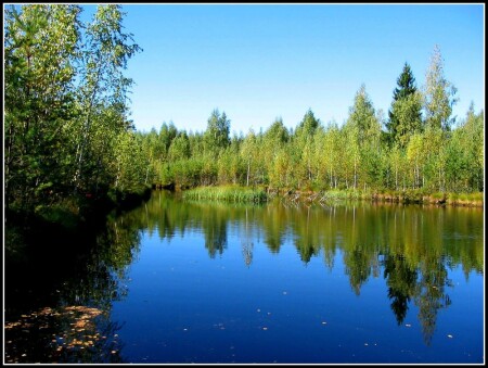 Там, где живут русалки