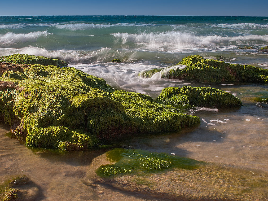 The Mediterranean Sea, Israel