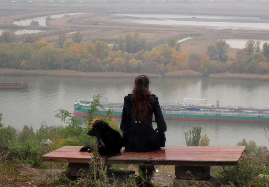 Осень и собака.