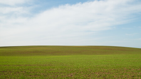 Русское поле II