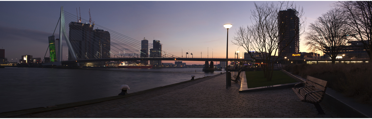 Rotterdam evening