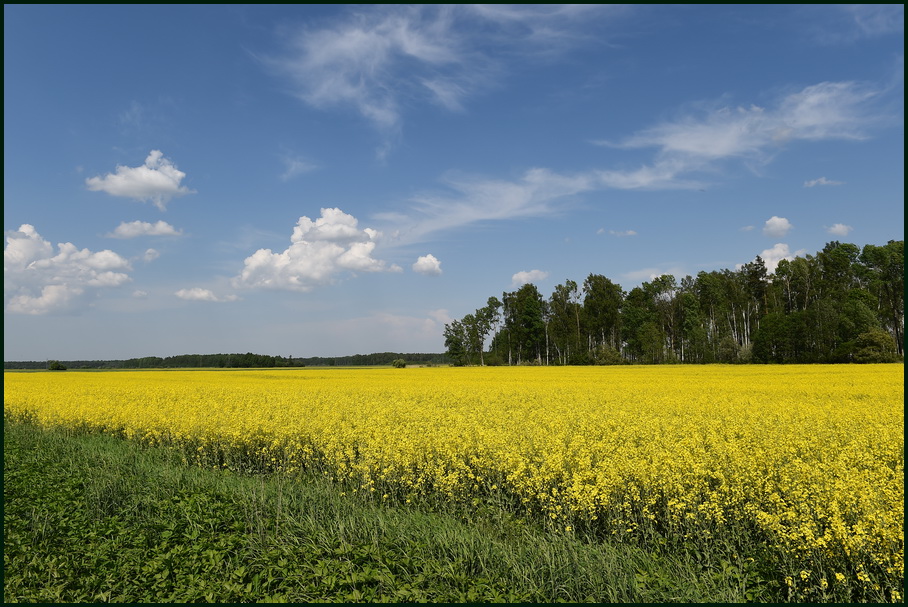 Рапсодия.