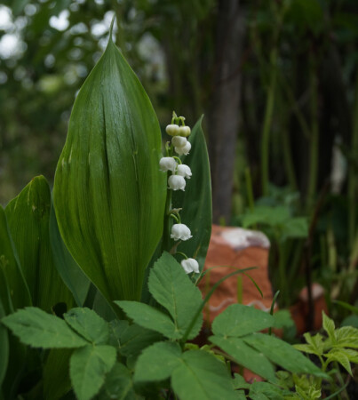 Отдача от дачи.