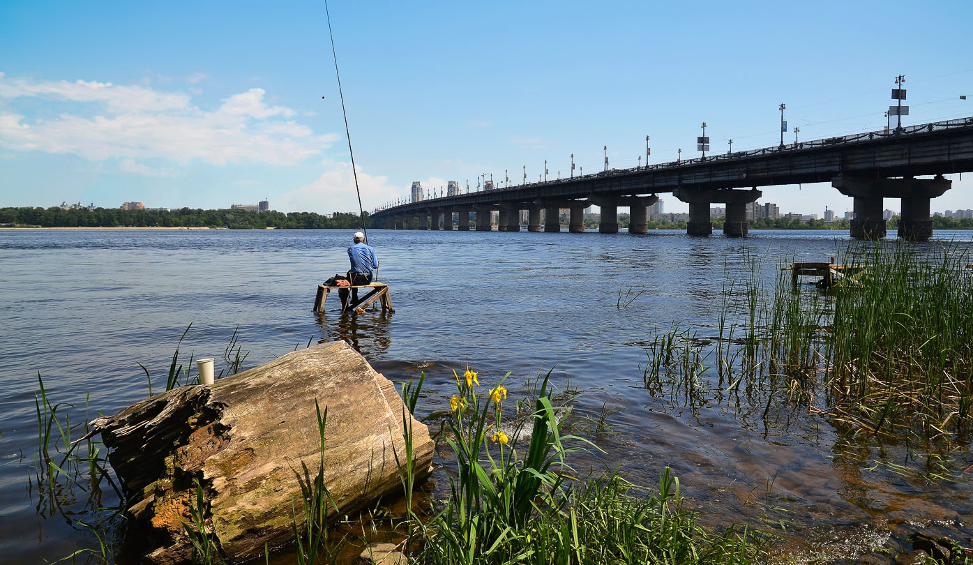 От городской суеты