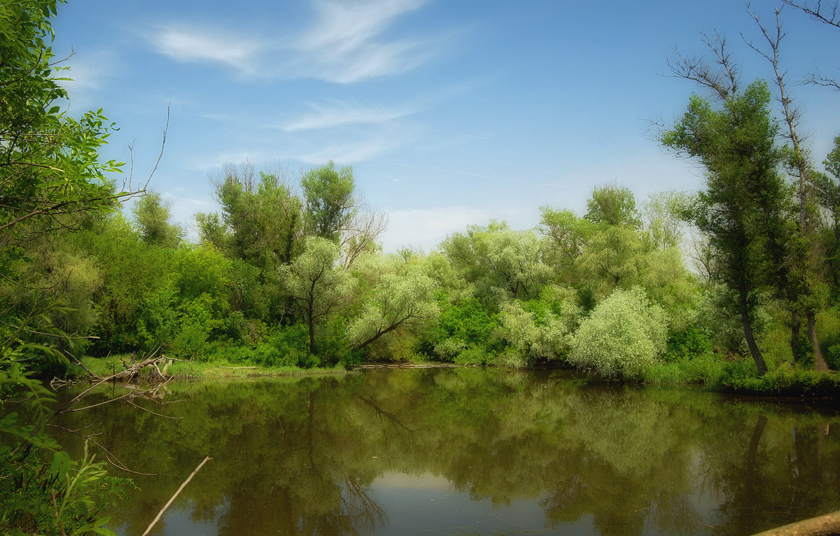 Урочище Вырва, май