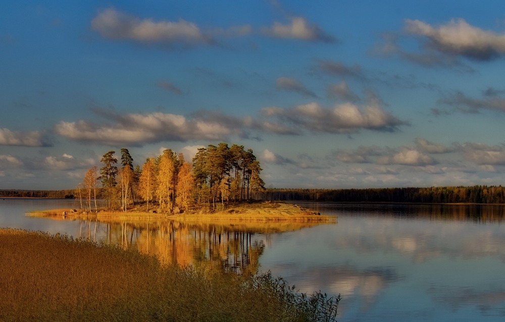 Осень в Монрепо.5