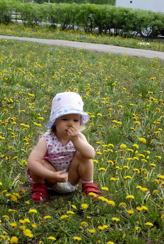 не уйду, пока все не перенюхаю.