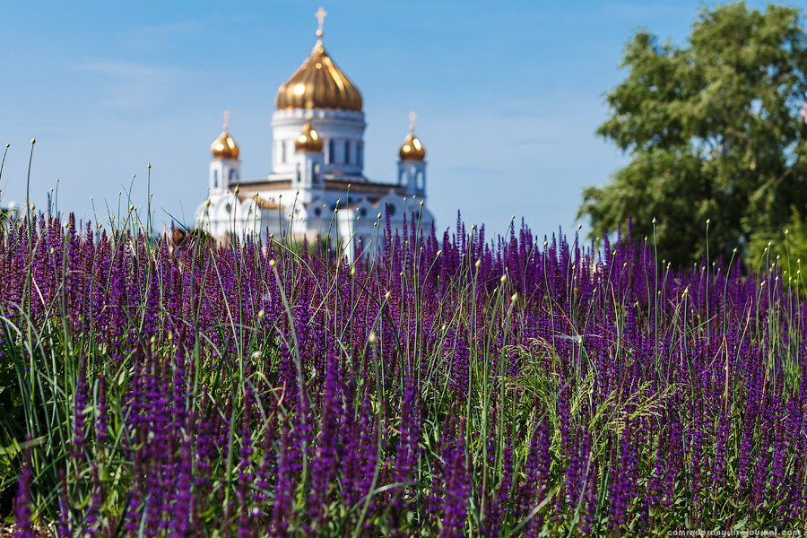 Храм Христа