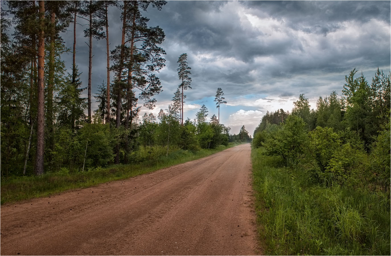 После летнего дождя