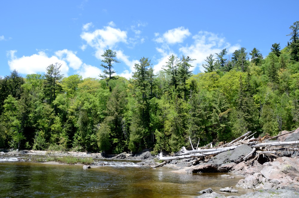 Речка. North Ontario.