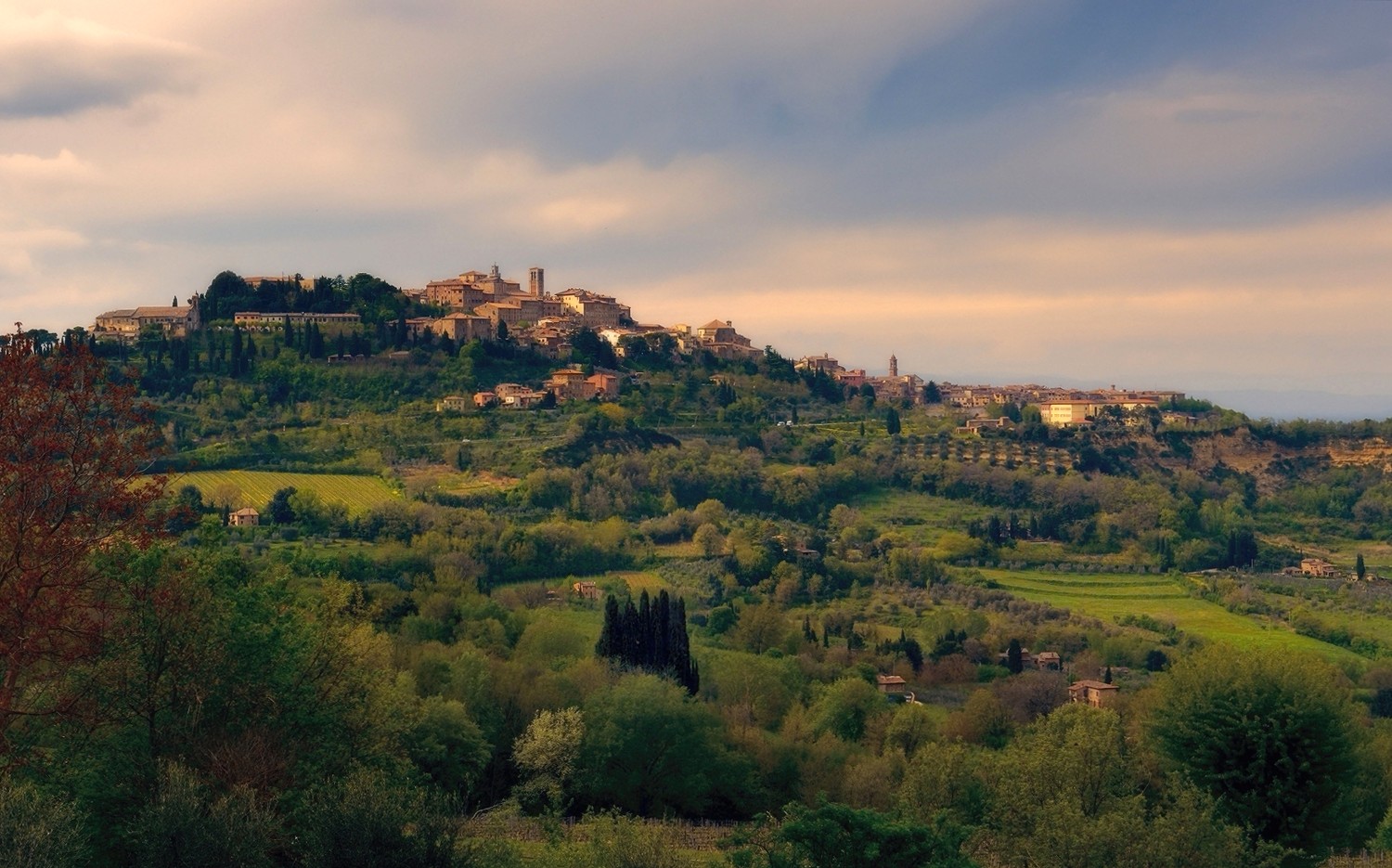 Монтепульчано (Montepulciano)