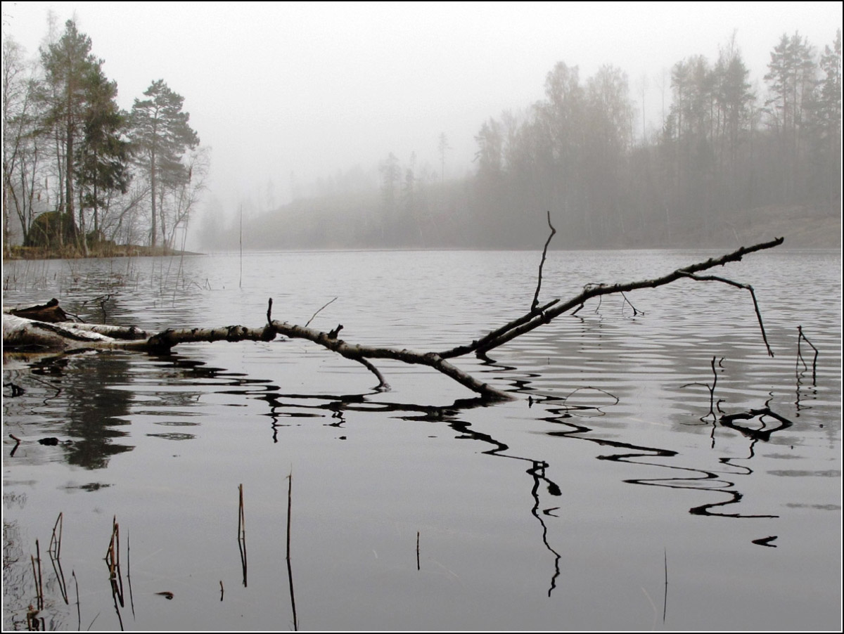 Весна в Карелии