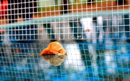 Конец сезона