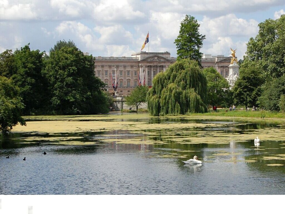 Лето, жара. Королева в Buckingham Palace