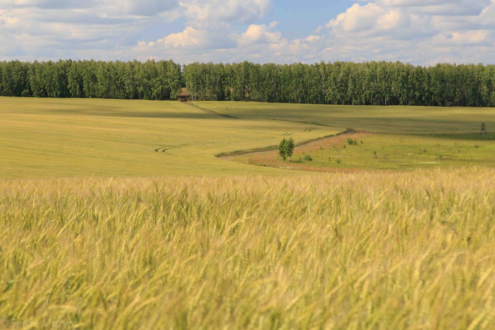 Солнечный день