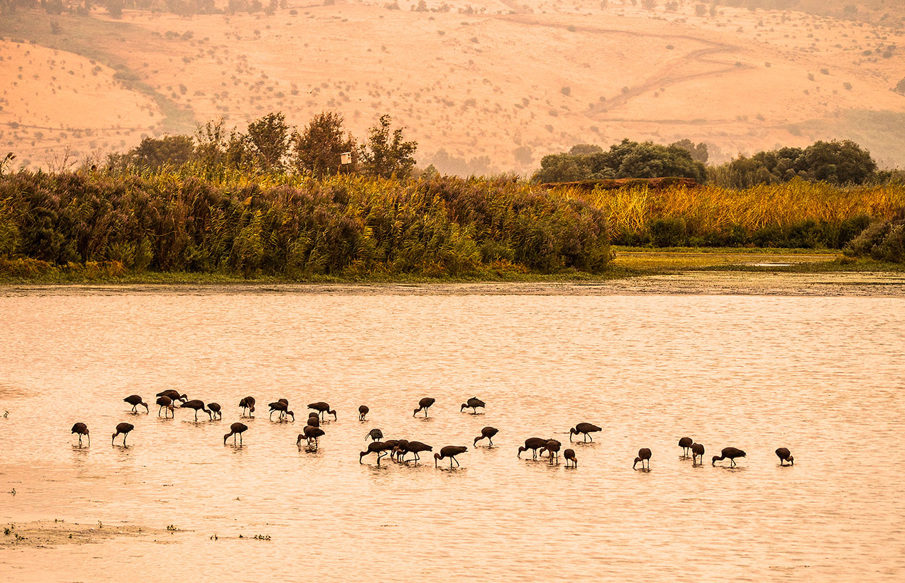 Galilee, Israel