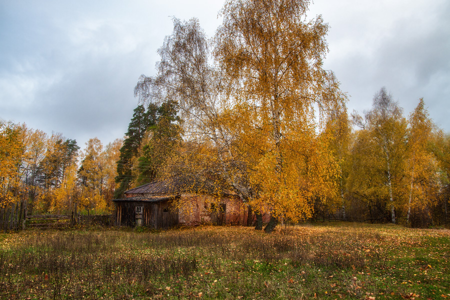 Грустное очарование осени