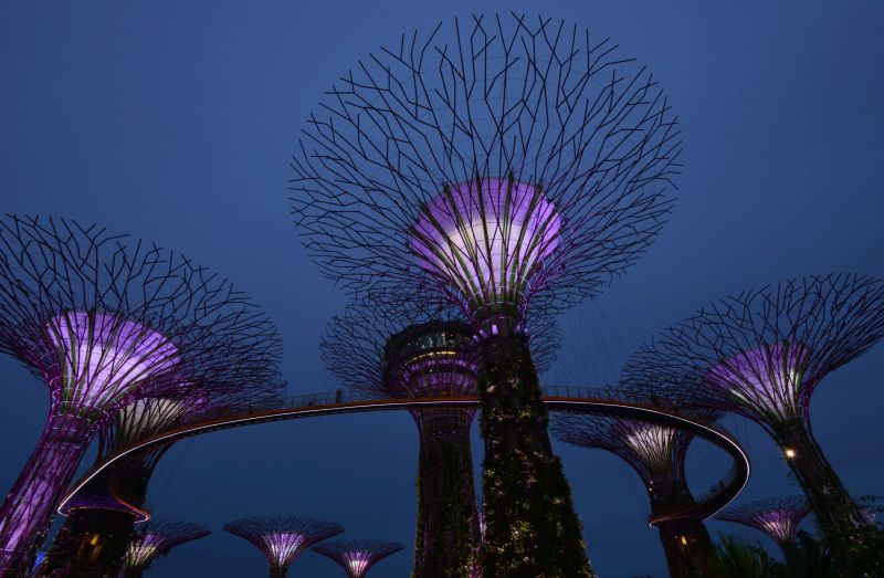 Garden by the Bay