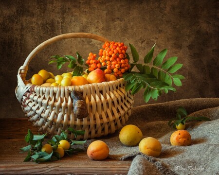 Лазутчица