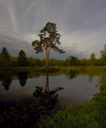 Старый парк