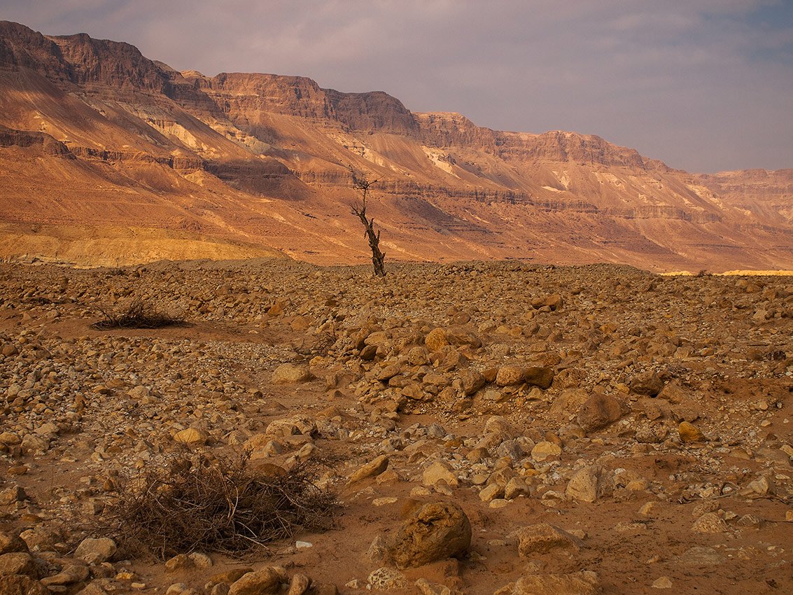 The Judaean Desert