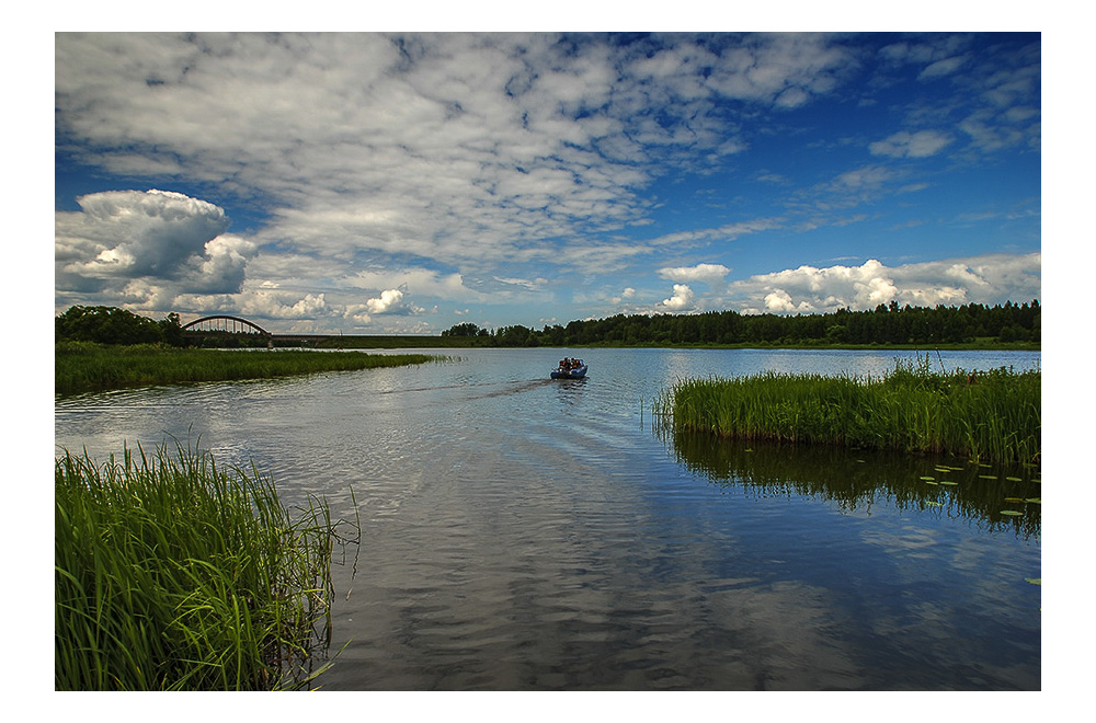 Рыбалка