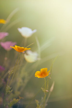 Утреннее знакомство.