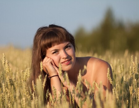 Полевой цветок