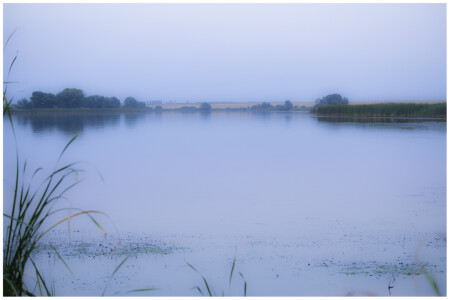 Умиротворение