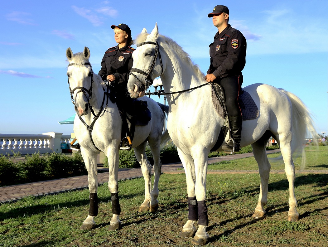 Конный патруль