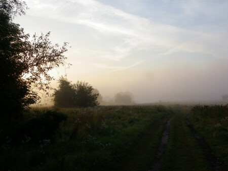 Раннее утро