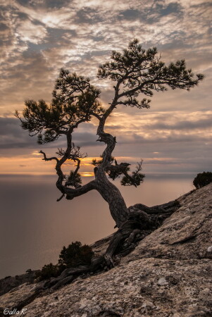 ...держась за скалу