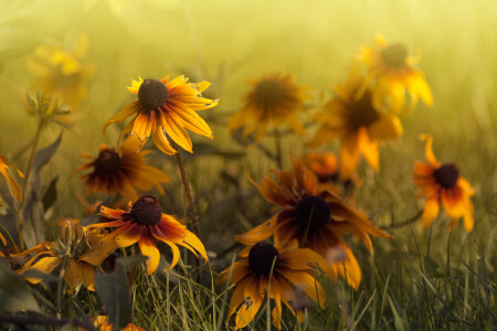 Последний месяц лета ...