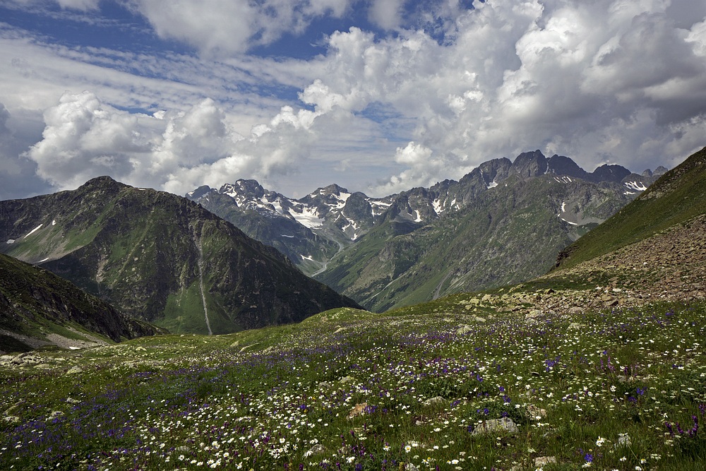 Середина лета в горах