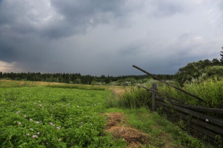 Перед дождём