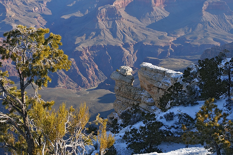 Grand Canyon camel