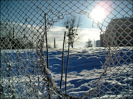 в школу