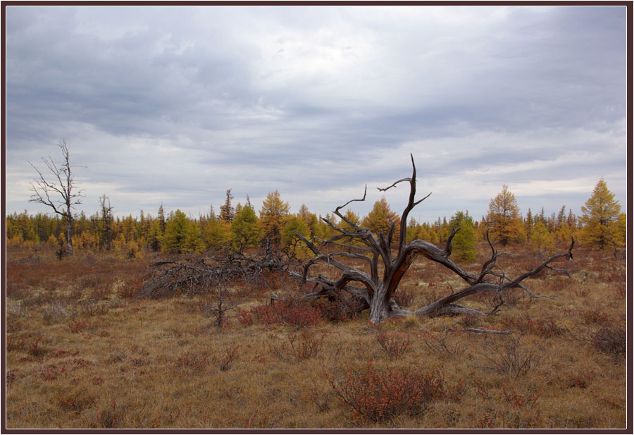 Северная осень