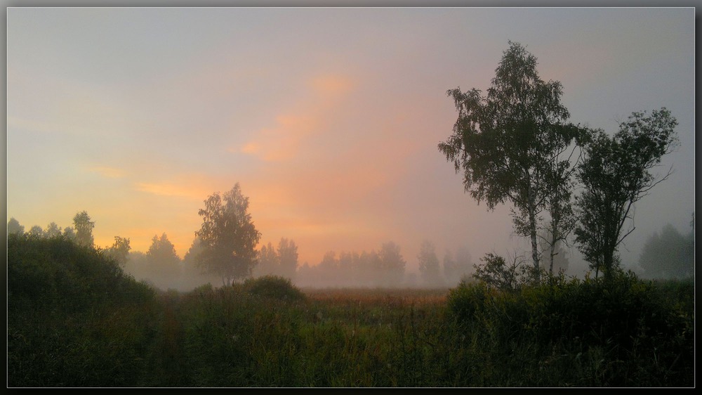 В забытых лугах ......