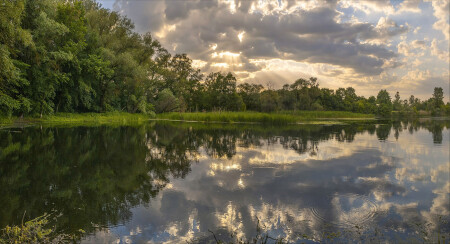 Тихая заводь