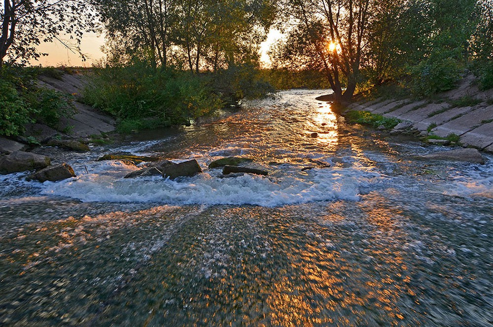 Огненная вода